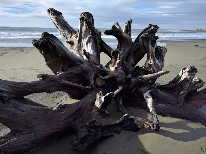 Quinault Marina & RV Park Picture 9