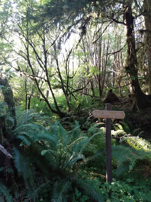 Artic RV Park Picture 3