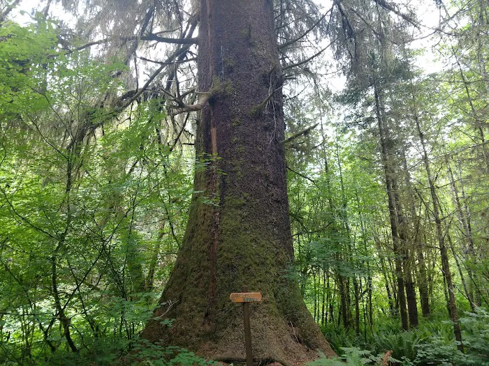 Artic RV Park Picture 7