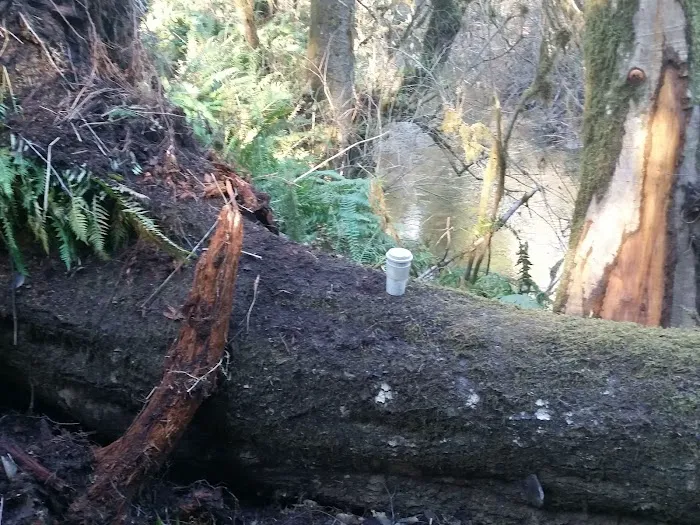 Artic RV Park Picture 2