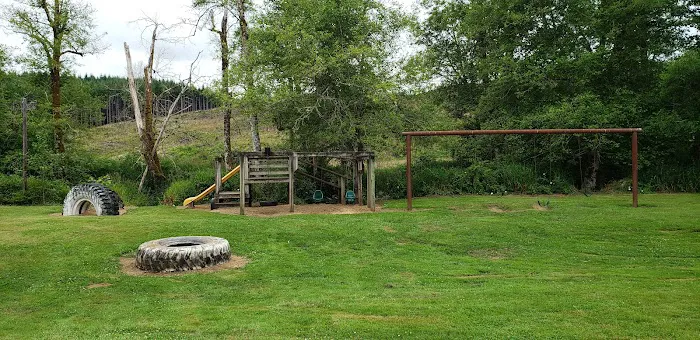 Lewis-Pacific Swiss Society Picture 4