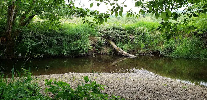 Lewis-Pacific Swiss Society Picture 1