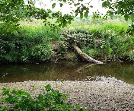 Lewis-Pacific Swiss Society