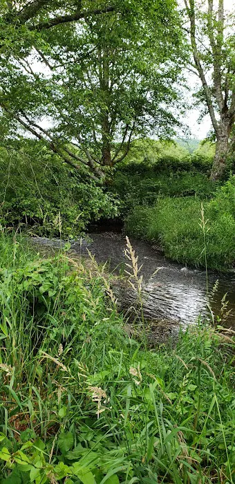 Lewis-Pacific Swiss Society Picture 6