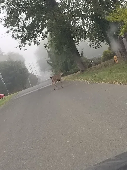 Harbor Estates Picture 2