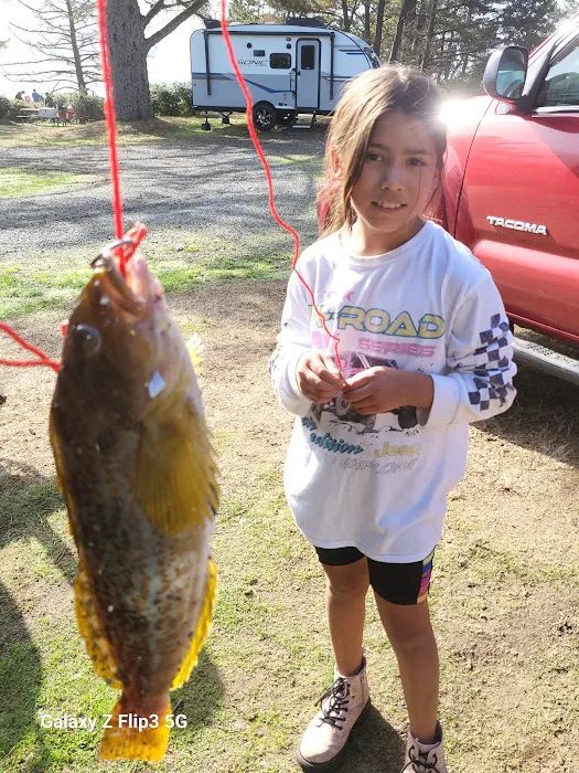 Pacific City Trailer Park Picture 5