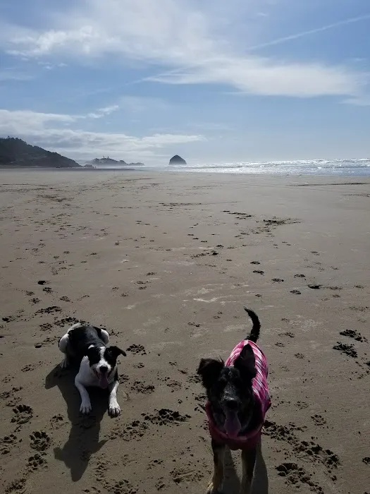 Pacific City Trailer Park Picture 6