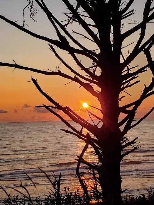 Pacific City Trailer Park Picture 7