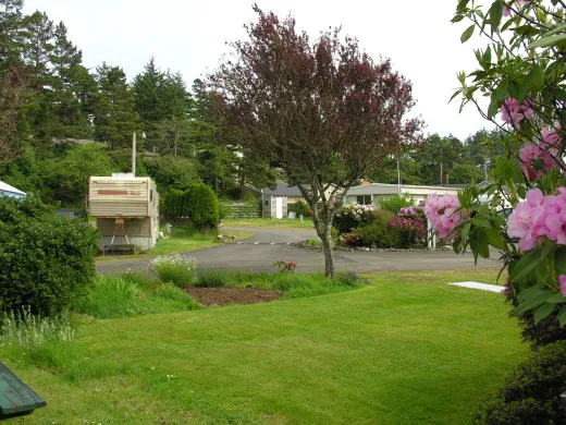 Pacific City Trailer Park Picture 1