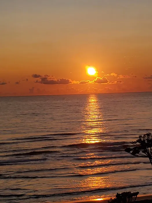 Pacific City Trailer Park Picture 4