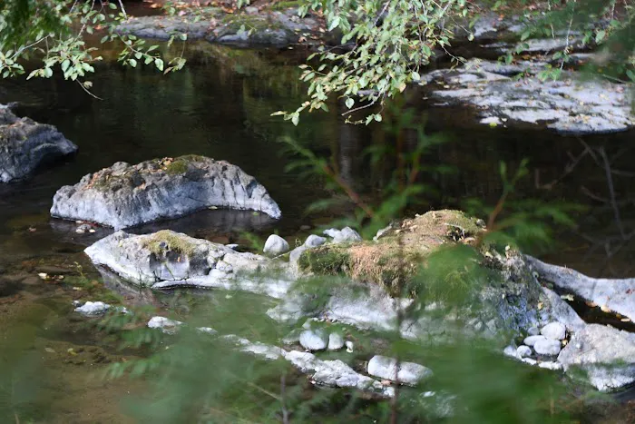 Salmon River RV Park Picture 5