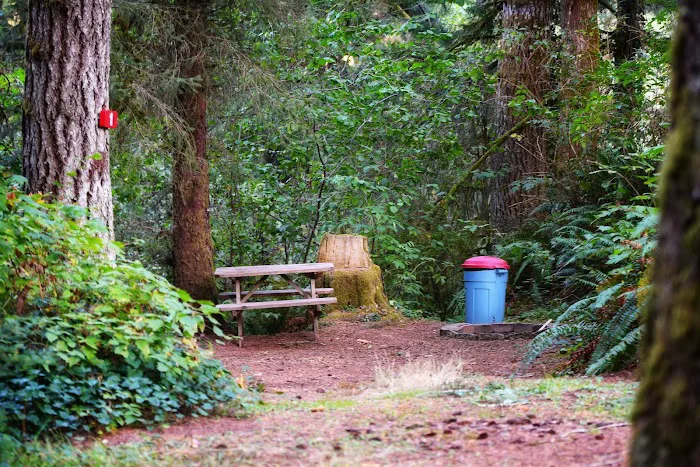 Salmon River RV Park Picture 4