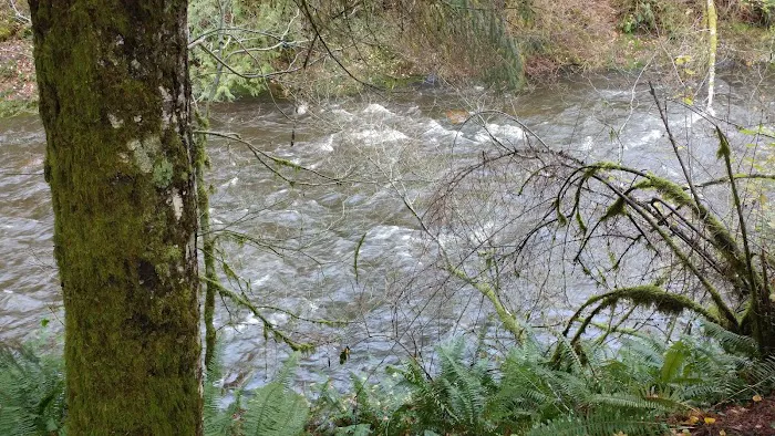 Salmon River RV Park Picture 9