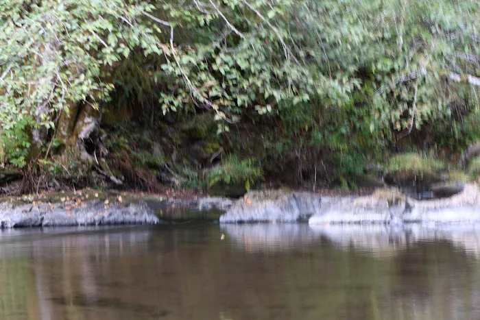 Salmon River RV Park Picture 2