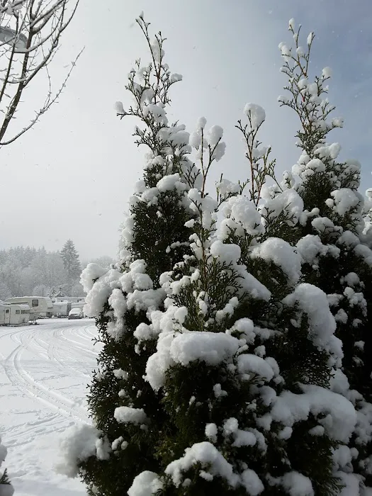 Wandering Spirit RV Park Picture 7