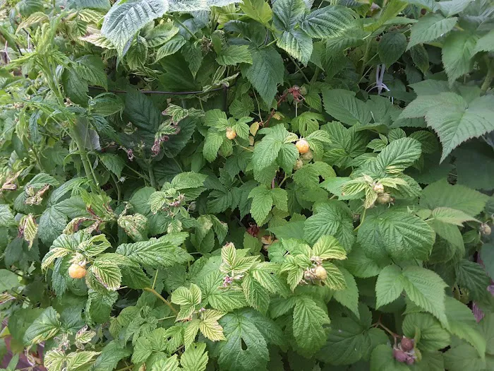 Wandering Spirit RV Park Picture 1