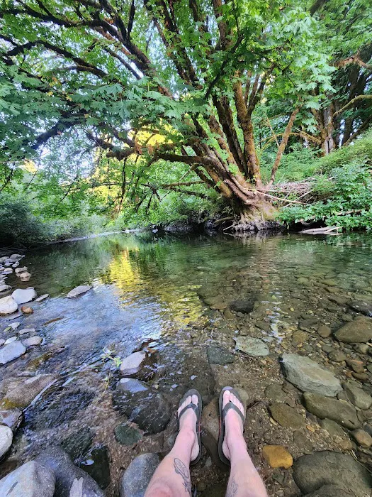 Wandering Spirit RV Park Picture 10