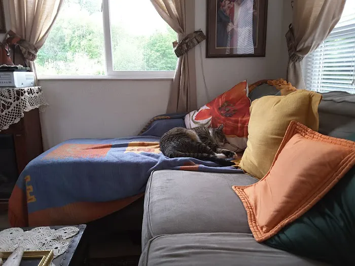 Wandering Spirit RV Park Picture 2