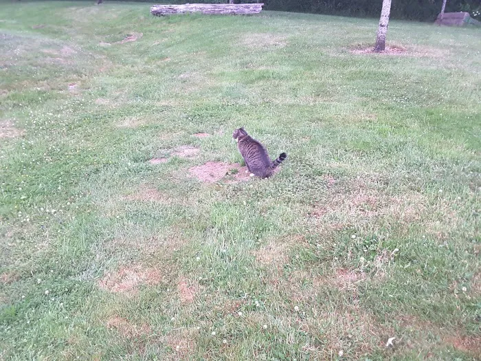 Wandering Spirit RV Park Picture 8