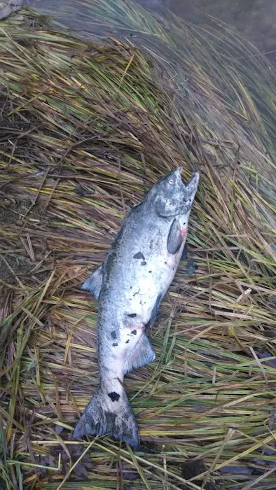 Salmon River Mobile Village Picture 2