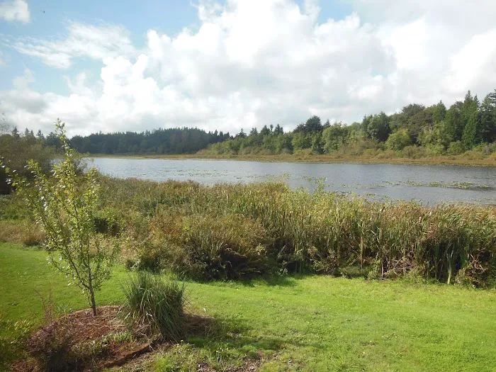 Edgelake LLC Picture 9