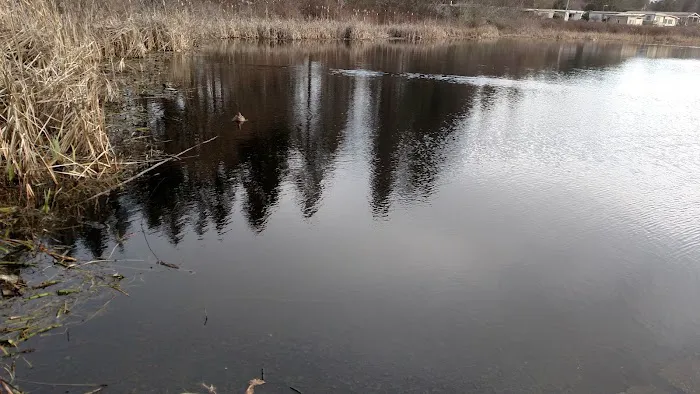 Edgelake LLC Picture 3