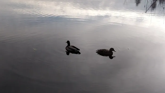 Edgelake LLC Picture 4