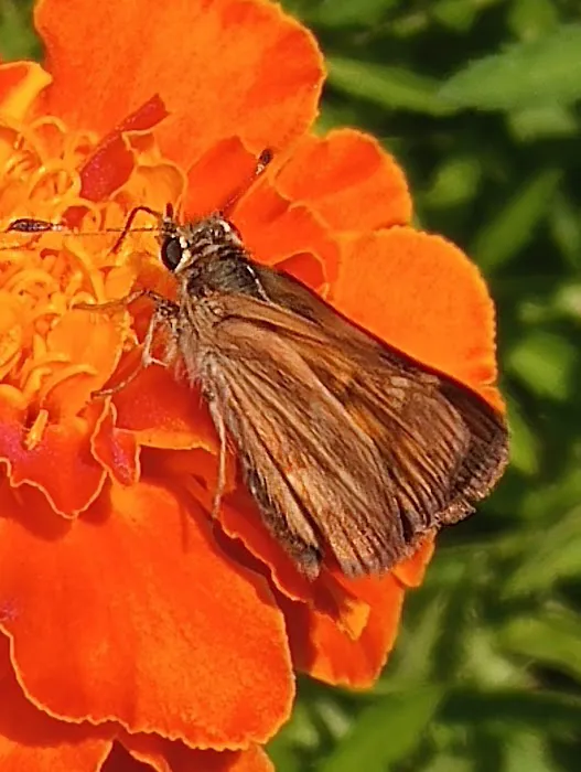 Edgelake LLC Picture 6