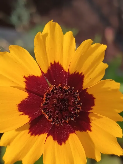 Edgelake LLC Picture 8