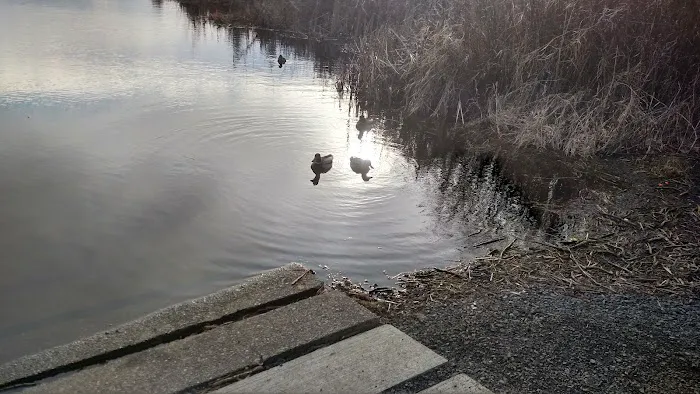 Edgelake LLC Picture 10