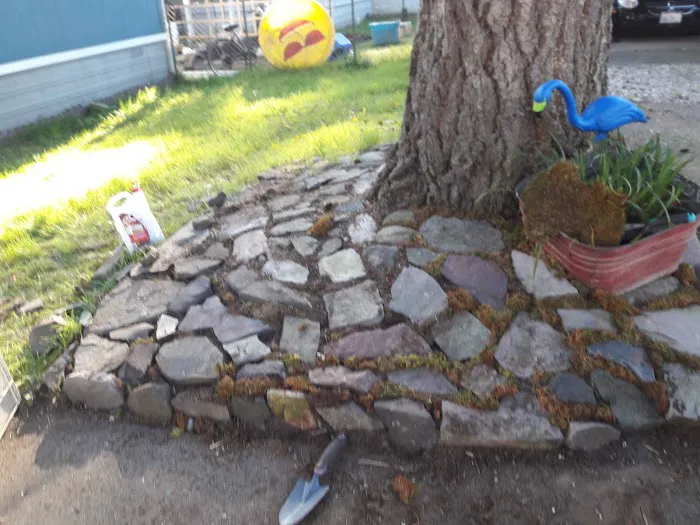 De Tray's Mobile Home Park Picture 8