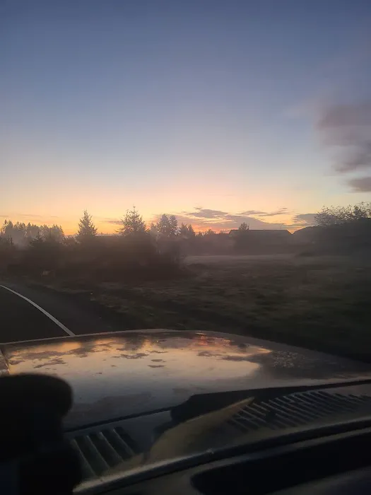 Rainier vista mobile home park Picture 4