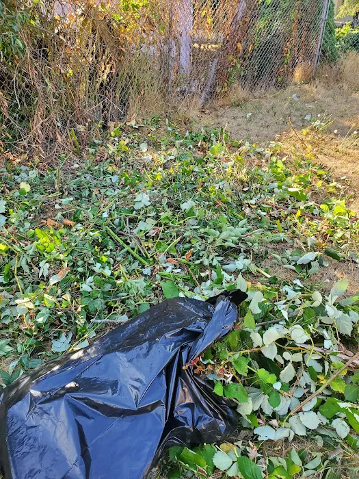 Rainier vista mobile home park Picture 7