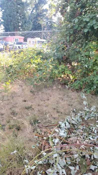 Rainier vista mobile home park Picture 9