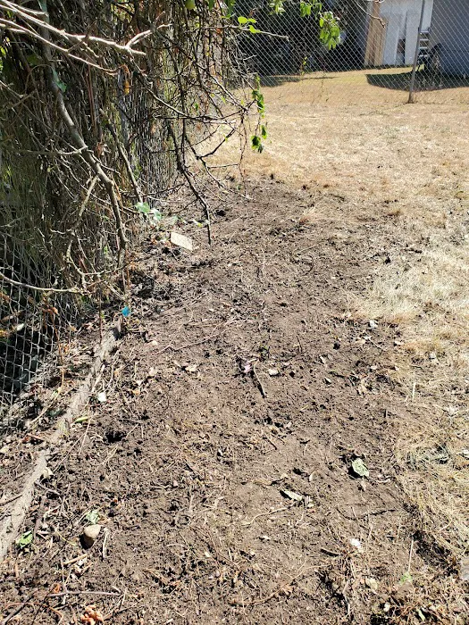 Rainier vista mobile home park Picture 10