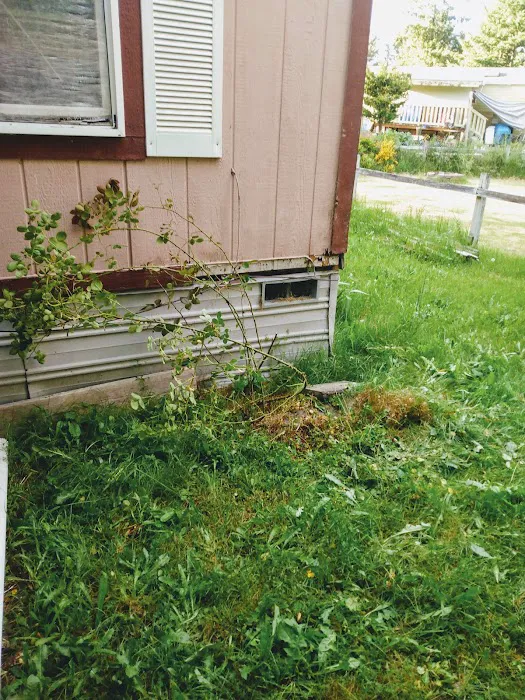 Rainier vista mobile home park Picture 3