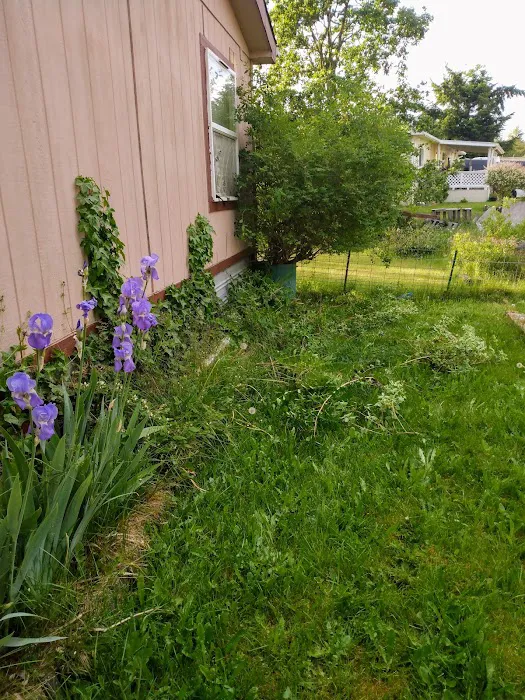 Rainier vista mobile home park Picture 1