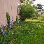 Rainier vista mobile home park