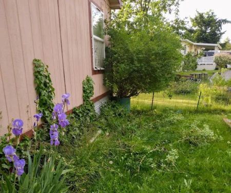 Rainier vista mobile home park