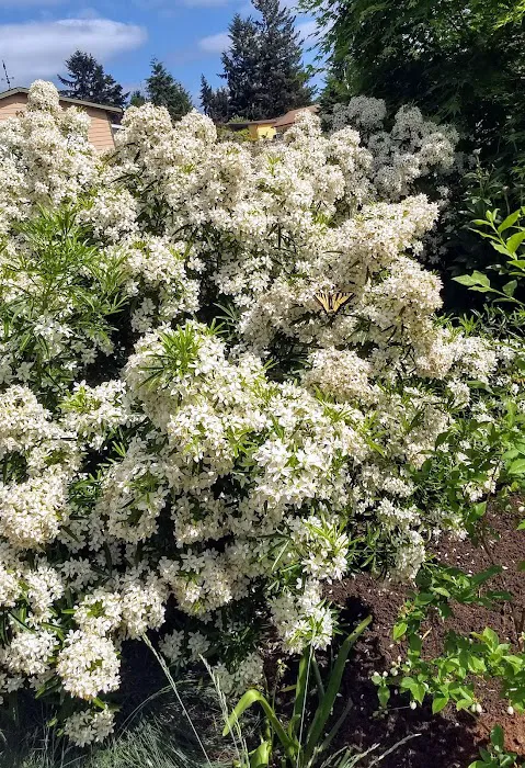 WA Land Yacht Harbor RV Park & Event Center Picture 6