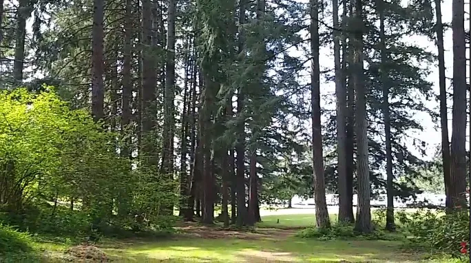 WA Land Yacht Harbor RV Park & Event Center Picture 5