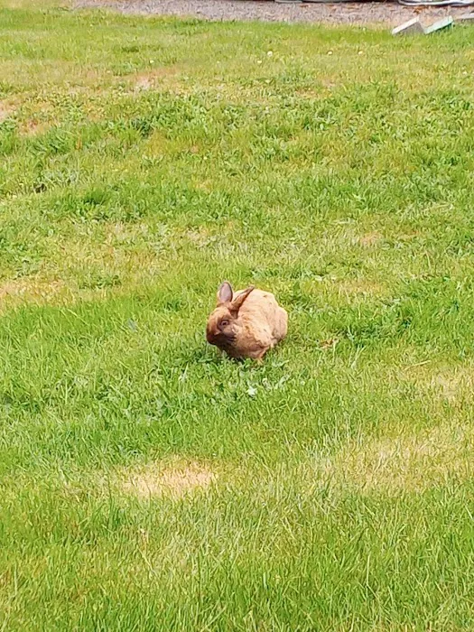 Martin Way Mobile Home-Rv Park Picture 8