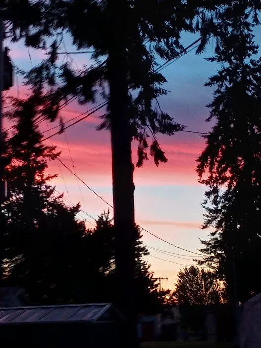 Martin Way Mobile Home-Rv Park Picture 10