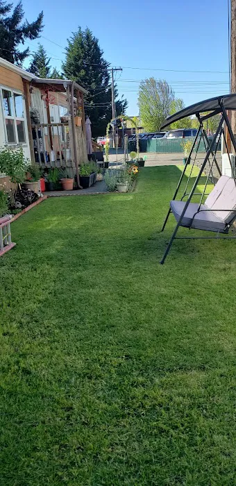 Martin Way Mobile Home-Rv Park Picture 2