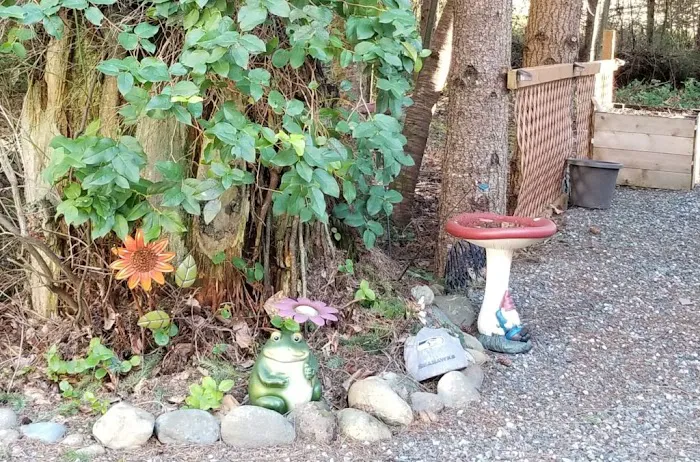 Buttes RV Park & Storage Picture 5