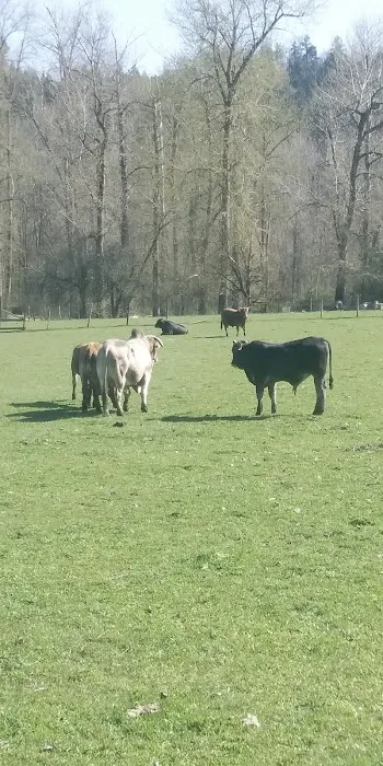 Mountain View Estates Picture 1