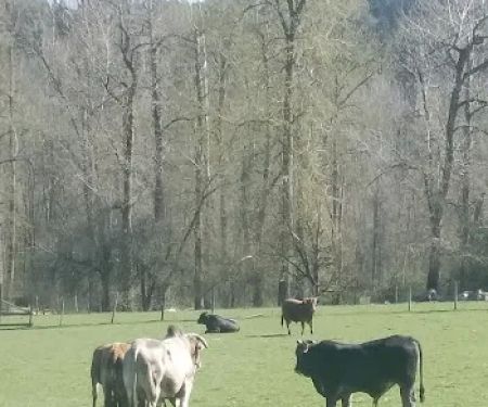 Mountain View Estates