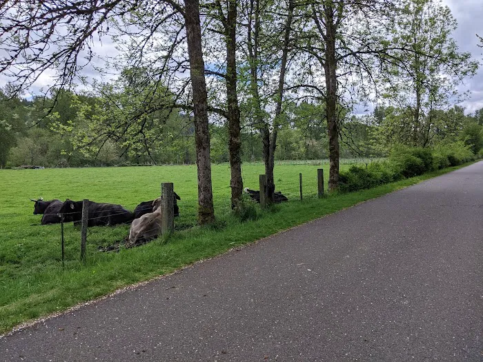 Mountain View Estates Picture 4