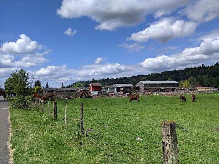 Mountain View Estates Picture 3