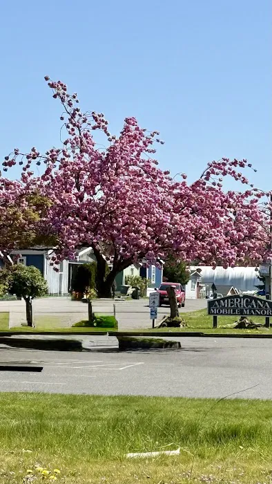 Americana Mobile Manor Picture 1